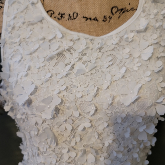 Nina Leonard Sz XL White Lacy Floral Embellished Stretch Dress. - Picture 3 of 16